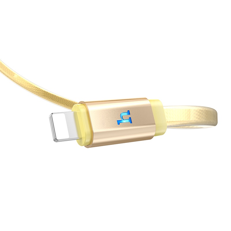 Cáp sạc Lightning Hoco cho iPhone/iPad, iPhone XS max, iPhone 11, iPhone 11 Pro max, cáp sạc nhanh 2.4A ,chống rối, chống đứt  có đèn LED báo sạc dài 120cm