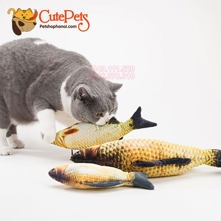 [HOÀN TIỀN 10%]Đồ chơi Cá chép bông cho mèo - CutePets
