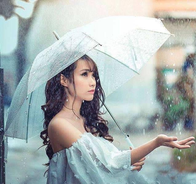 Ô, dù đi Mưa Trong Suốt Nhật Bản, ô trong suốt đi mưa, ô trong , ô đi mưa