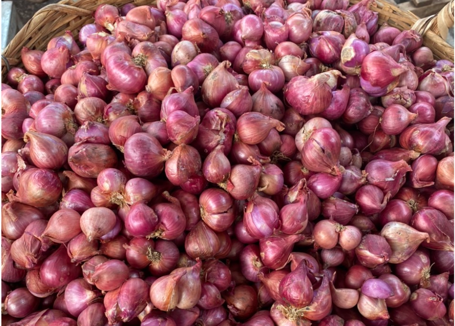 hành tím khô củ to chắc đều