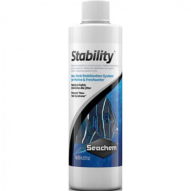Vi sinh seachem stability 250ml