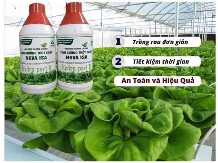 Dĩnh dưỡng thuỷ canh rau củ NOVA ISA cặp 2 lít