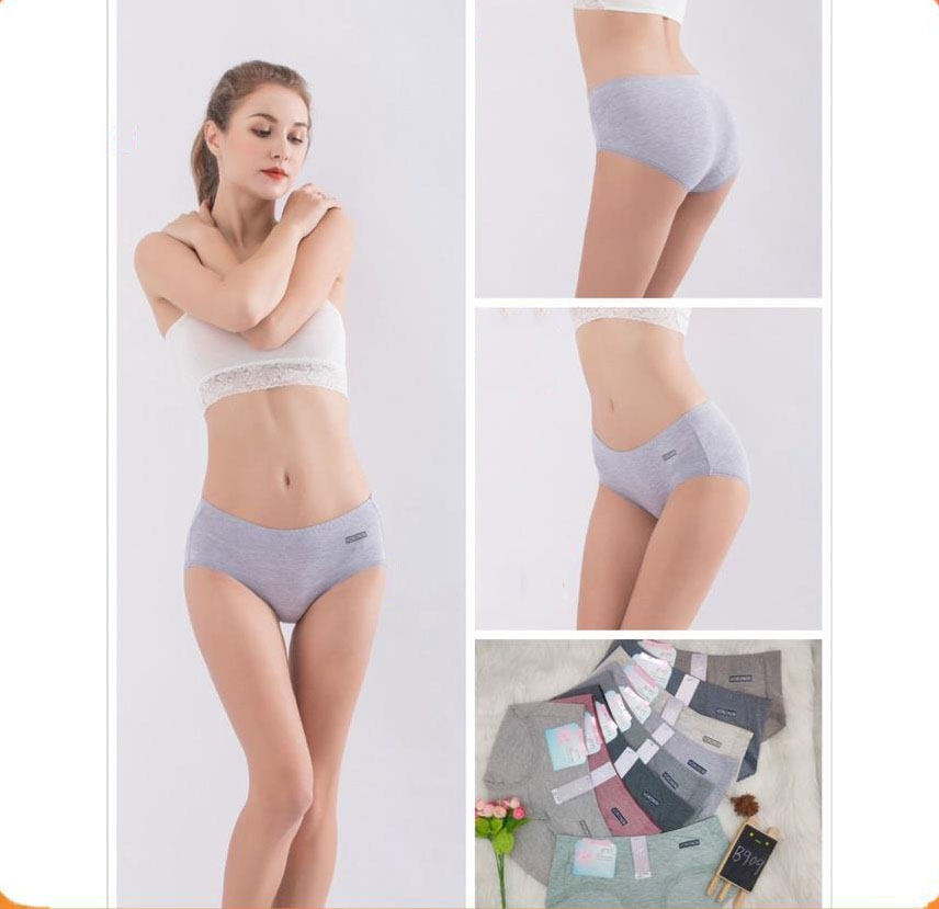Set 5 Quần Lót nữ chất Đũi Viền Ren Voronin - Quần chip nữ phối ren FreeSize Dưới 62kg