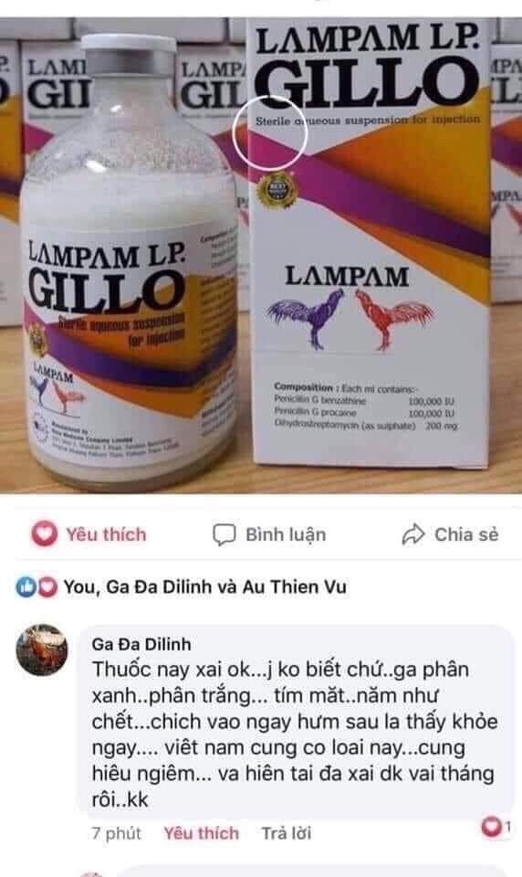 GILLO dùng cho gà bị bách bệnh