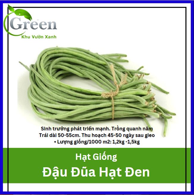 Hạt Giống Đậu Đũa Hạt Đen 20 Gam