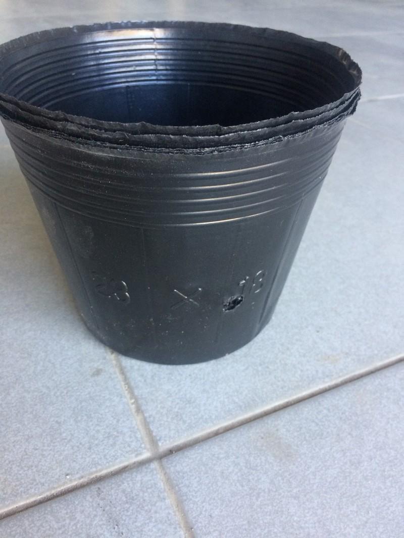 1kg Túi bầu đen  ươm cây 13x12