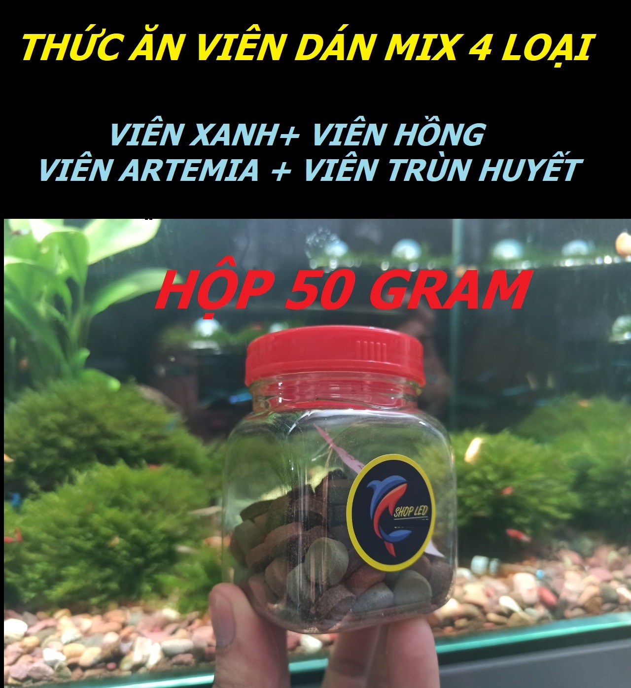 Thức ăn dán BioZym cao cấp - Cám viên dán cho cá cảnh - cám dán viên tảo- viên thịt- thức ăn dán thủy sinh - shopleo