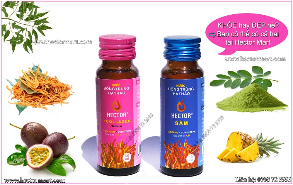 Đông trùng hạ thảo Hector Sâm (Hộp 10 Chai)