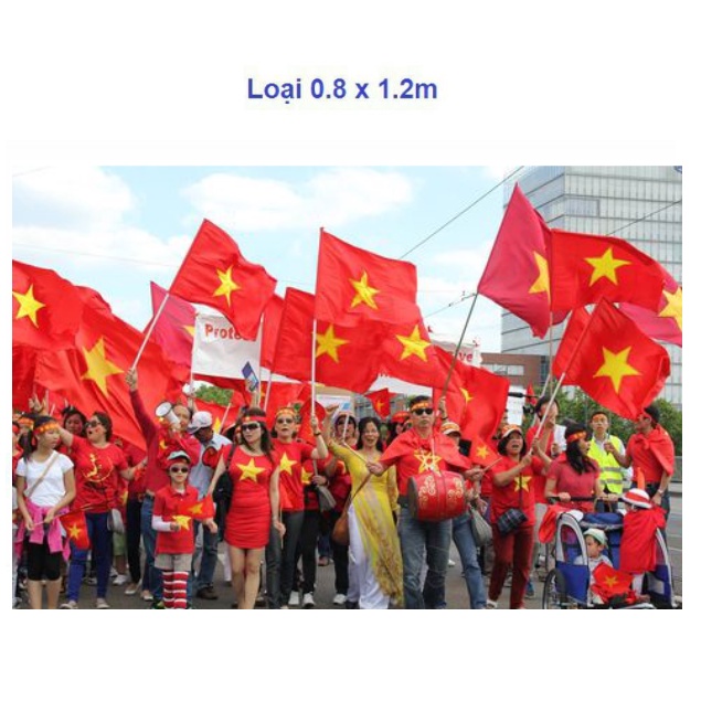 Lá cờ tổ quốc, cờ đỏ sao vàng việt nam 0.8 x 1.2m