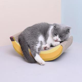 kitten banana