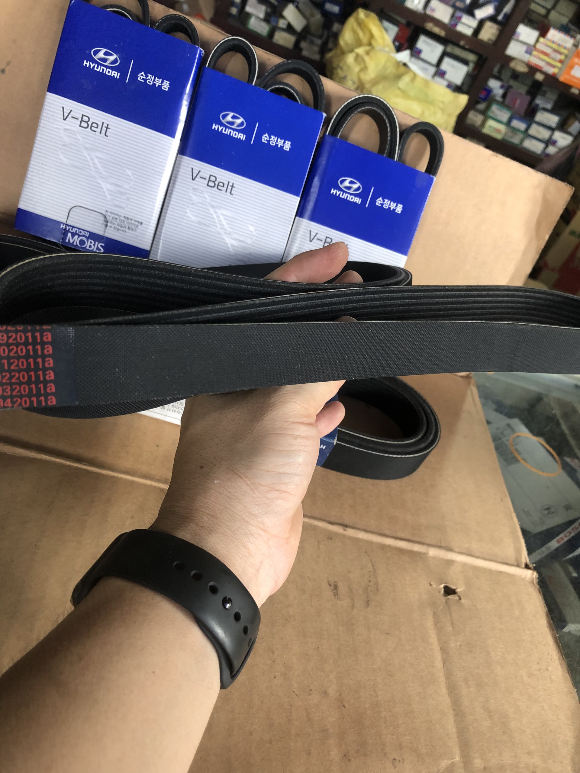 Dây Curoa Tổng HYUNDAI SOLATI 16C