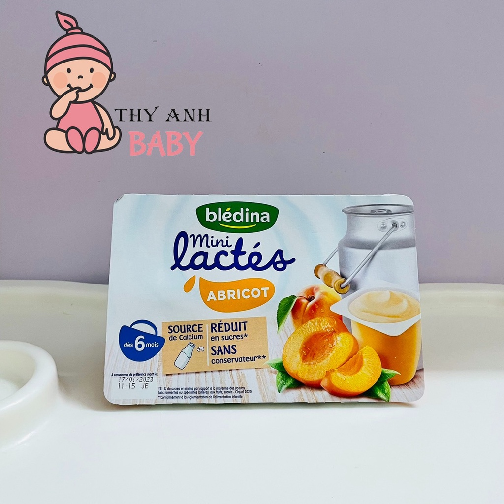 Sữa Chua Bledina Cho Bé 6m+ Pháp