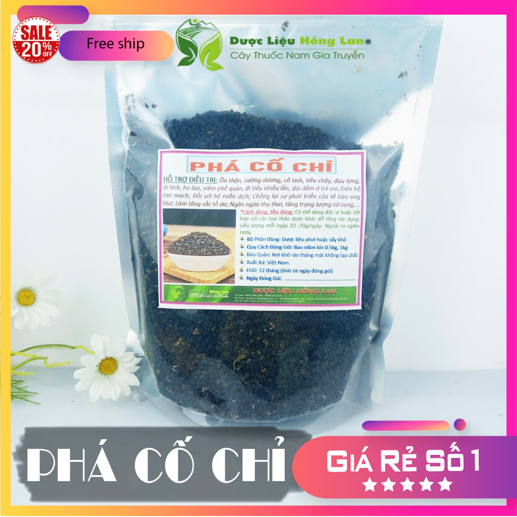✅[Thượng hạng] 100G Phá Cố Chỉ (Bổ Cốt Chỉ) khô sạch loại 1