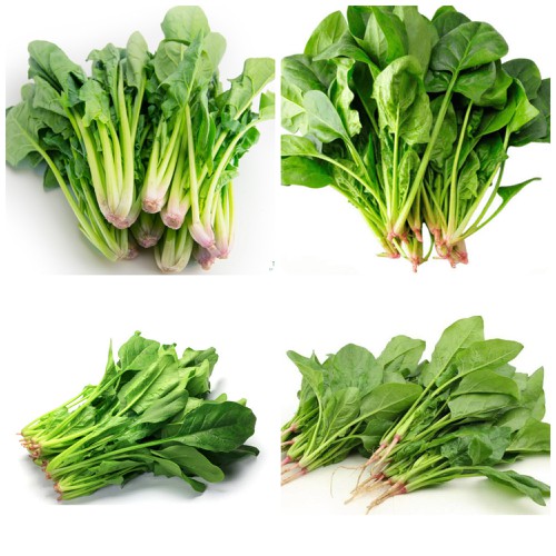 Hạt Giống Cải Bẹ Dún Kansa 733 Rạng Đông Gói 20Gram