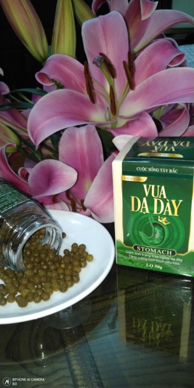 Vua Dạ Dạy - Thảo Mộc Tây Bắc giá rẻ