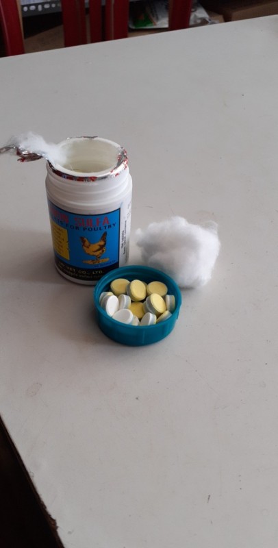 Thuốc trị bệnh gà đá - trị phân xanh trắng máu hồng xám sáp
