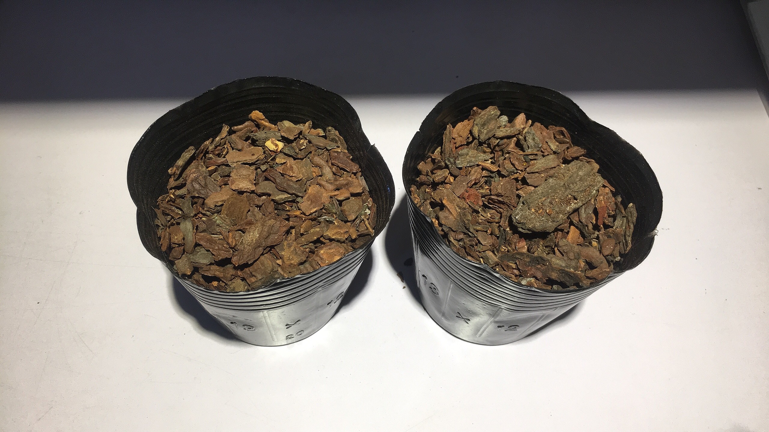 1kg bịch bầu ươm cây cỡ 13x12( #phanbon, #caycanh, #vattu)