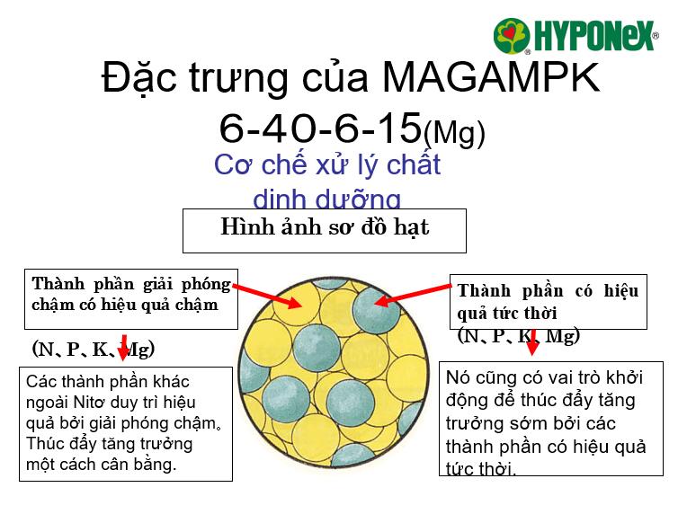 Phân tan chậm Hyponex Magamp K túi 600g/ 100gr
