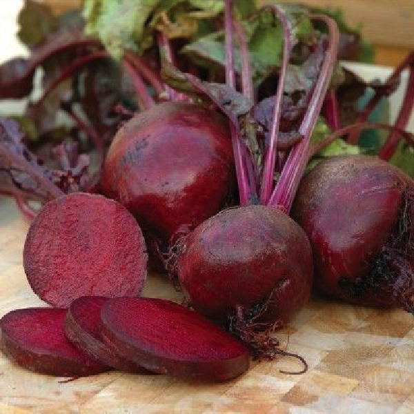 Gói 100 hạt giống củ dền đỏ Mỹ - củ to siêu ngọt