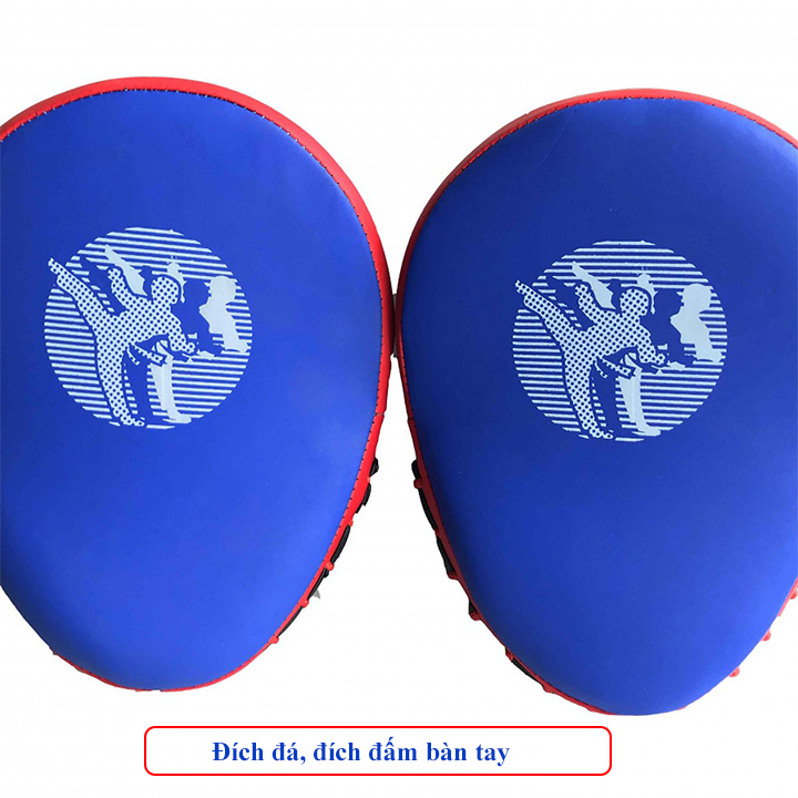 [HCM]Bộ 2 đích đỡ đích đấm bàn tay Vstar DT90
