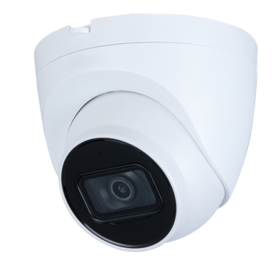 2MP IR Dome Network Camera DM2220C-AM