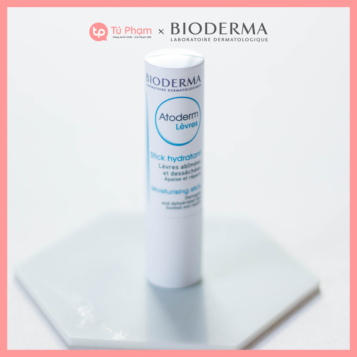 Son Dưỡng Môi Bioderma Atoderm Levres Stick Hydratant
