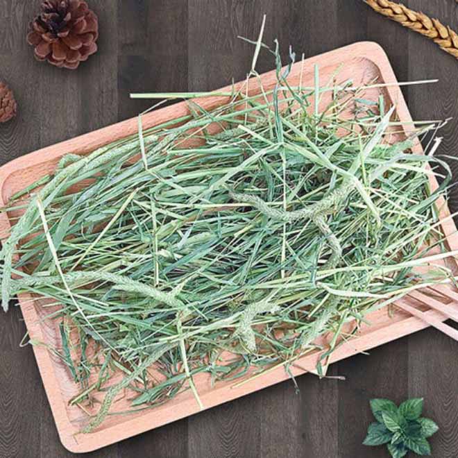 Bag 100 gr grass Timothy for rabbit, beetle peek, Guinea…