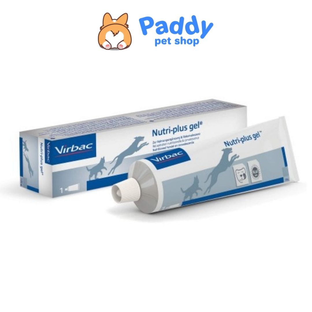 [HCM]Gel Dinh Dưỡng Virbac Nutri-Plus Cho Chó Mèo (Tuýp 120g)