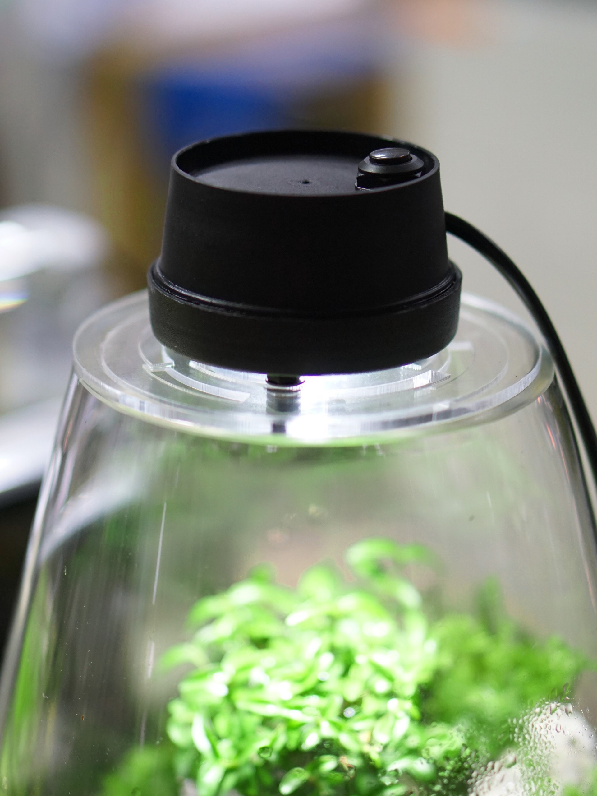 Nắp đèn cho bình terrarium hàng đặt 3w size 9cm