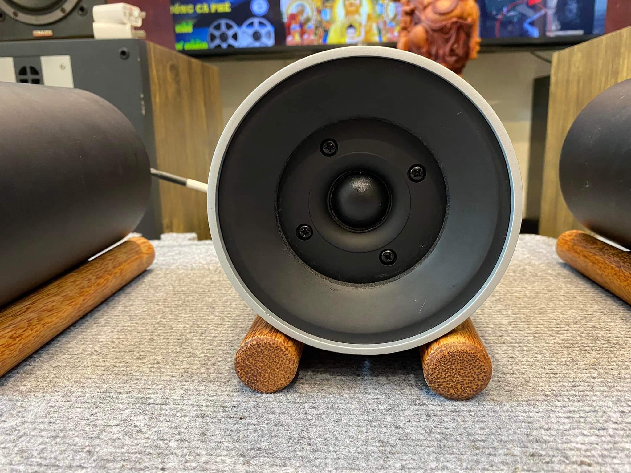Cặp Loa Super Treble Pioneer VE3