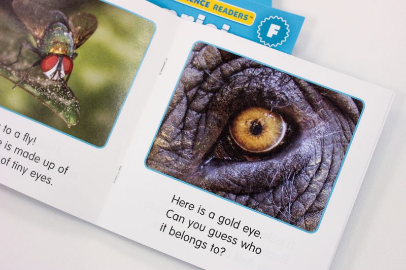 Scholastic Guided Science Reader Level A, B, C,D,E và F - 81 quyển | Nhập Khẩu