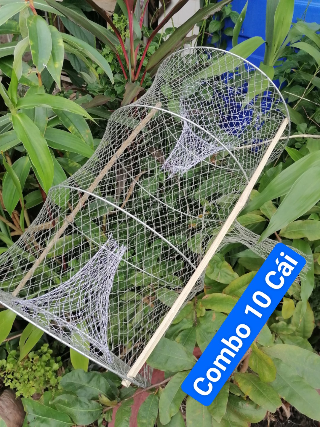 Lờ cá lóc ( Combo 10 cái, 4 Vành Kẽm, 30cm X 50cm )