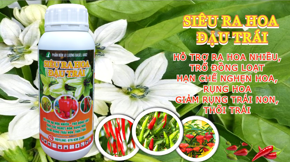 SIÊU RA HOA ĐẬU TRÁI CHUYÊN ỚT - 500ML. PHÂN BÓN LÁ