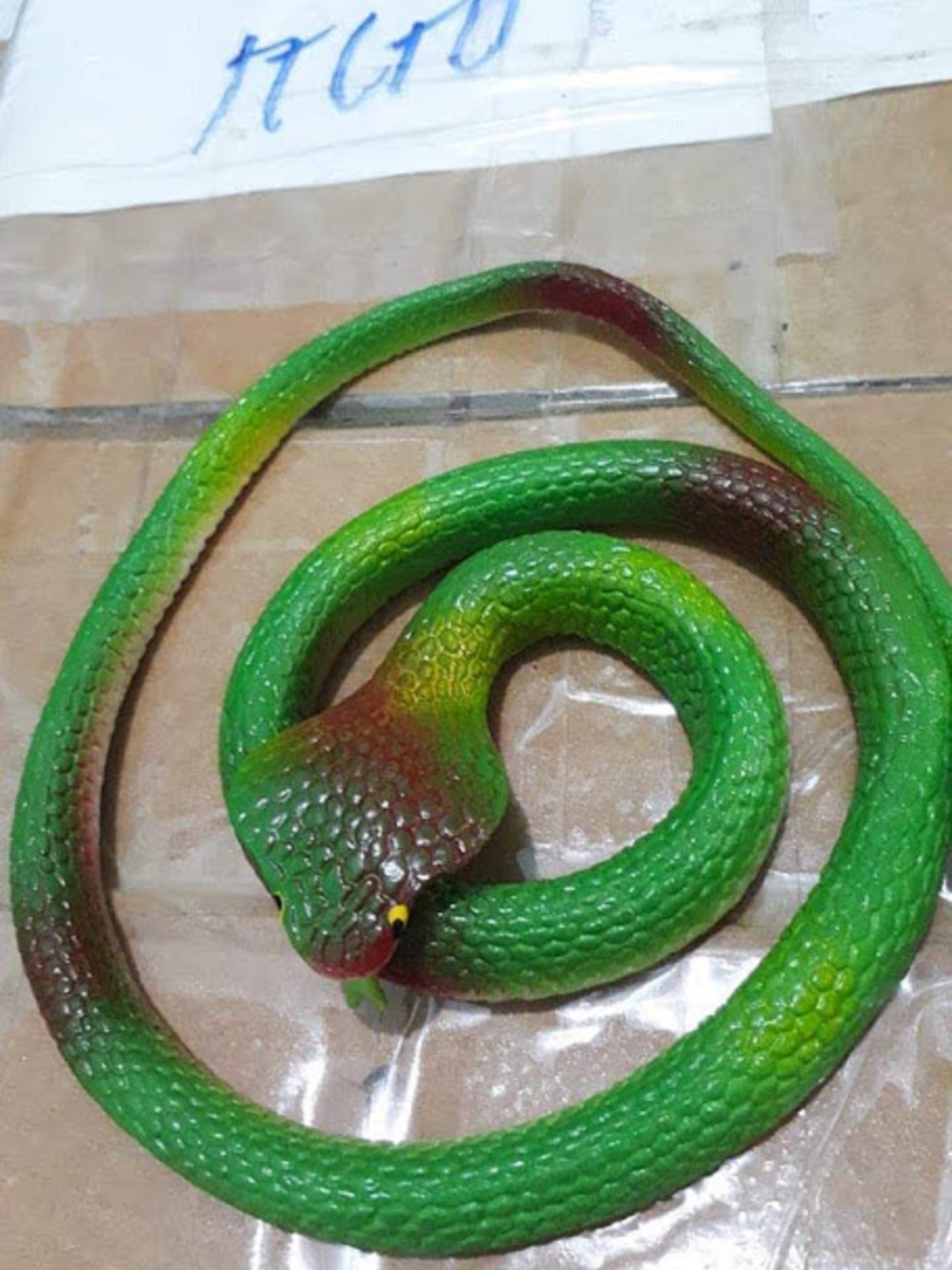 Đồ chơi rắn cao su