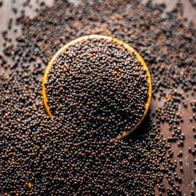 Black Mustard seeds - Sarso - Hạt Mù Tạt Rai/Sarson k dane ( 100g - 500g)