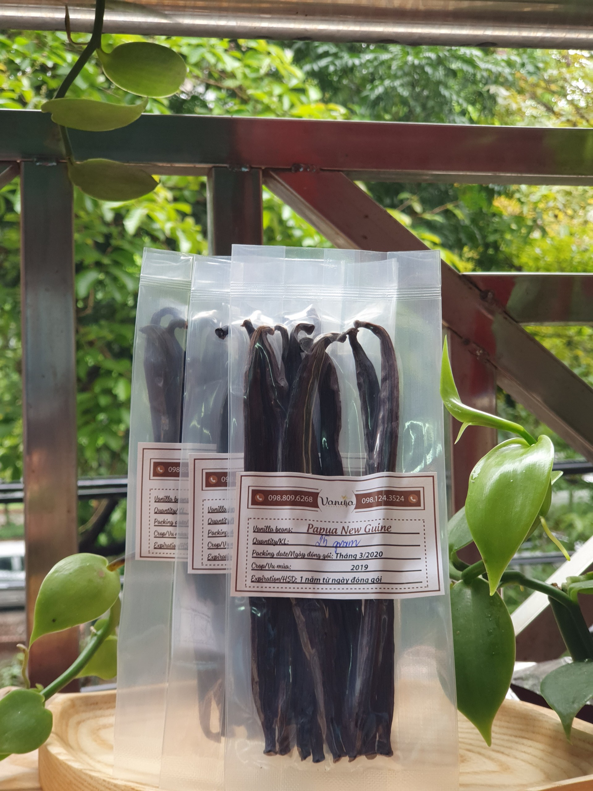 Quả Vanilla Papua New Guinea Thường (SET 25 GRAMS)