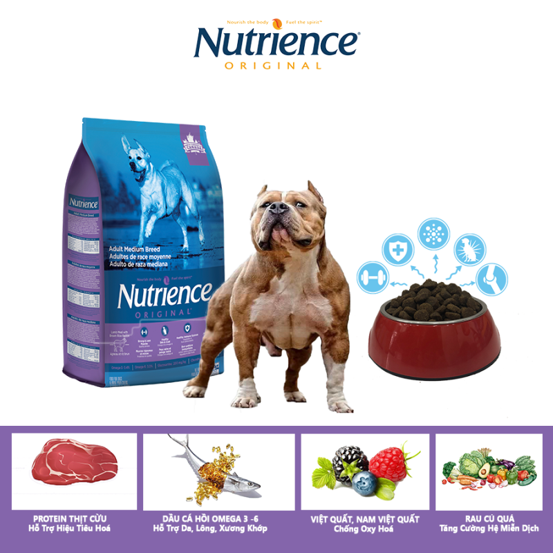 Thức Ăn Cho Chó Bully Nutrience Original Phát Triển Cơ Bắp, Xương Sụn Cơ Khớp, Hệ Miễn Dịch, Hệ Tiêu Hóa Khỏe Mạnh, Da Lông Bóng Mượt - Thịt Cừu, Rau Củ Và Trái Cây Tự Nhiên
