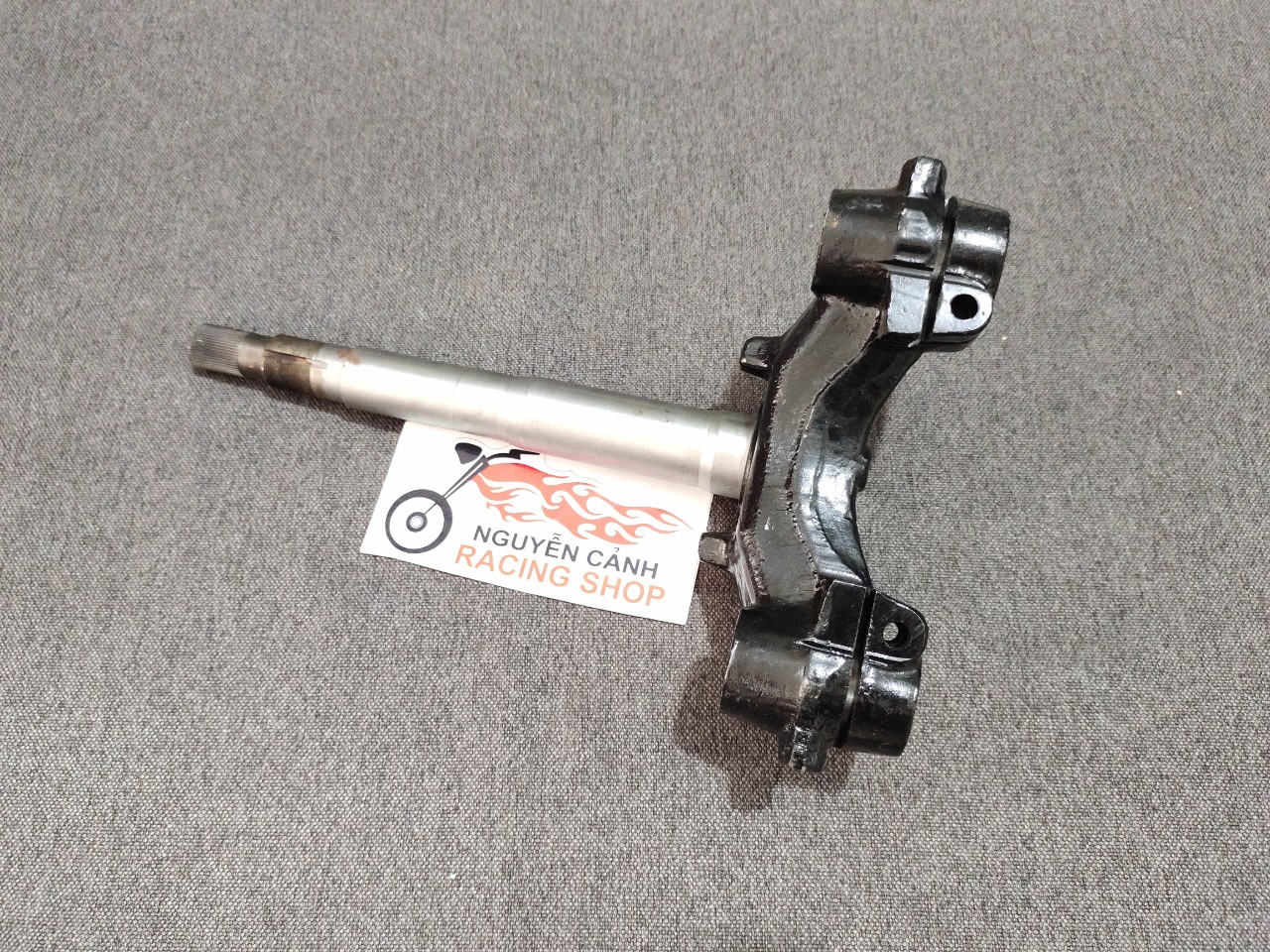 cây chảng ba xe sport,cây chảng ba xì po,cây chảng ba xipo,chất lượng,uy tín,mua ngay