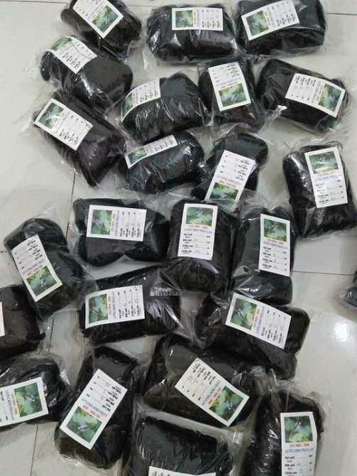 Lưới bẫy chim tàng hình Thái Lan