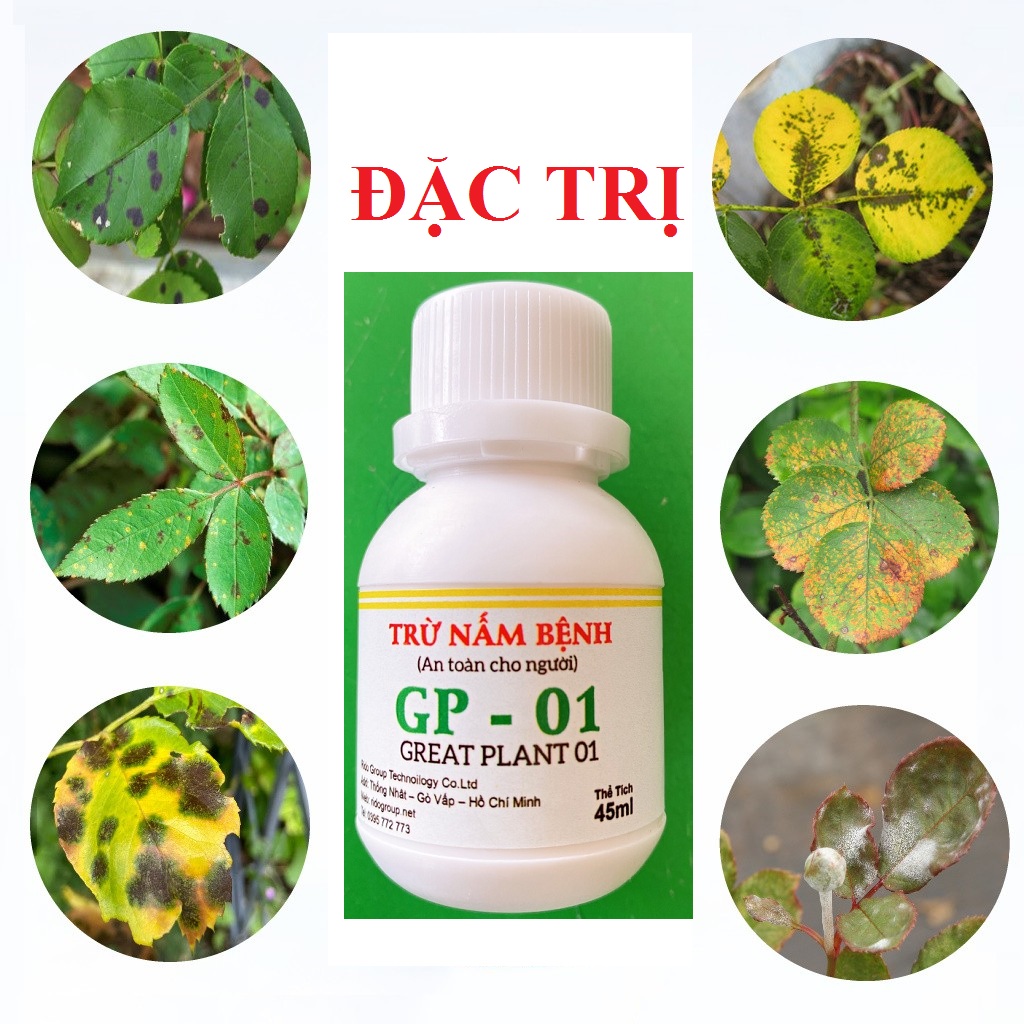 Thuốc trừ bệnh GP 01  MẠNH HƠN VICARBEN 50SC  CHAI 45ML