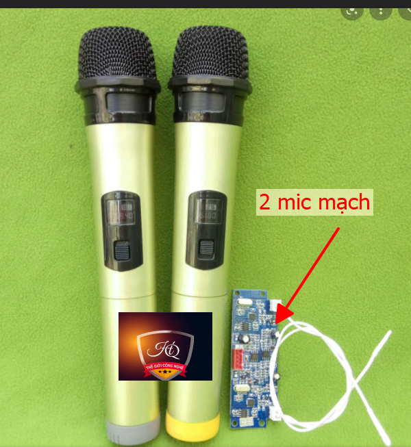 Micro không dây giành cho mọi loa kéo - giá 1 cặp mic mạch dành cho loa kéo 50-200w