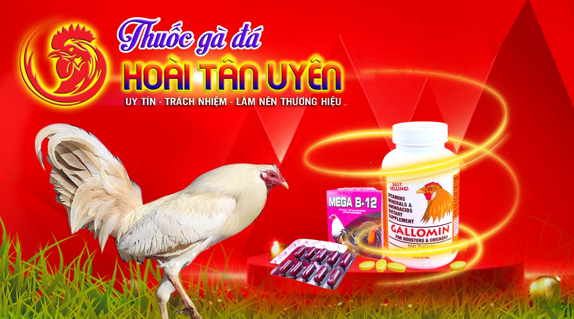 COMBO 50 VIÊN Thuốc nuôi gà đá COMBATIZER