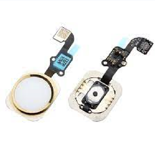 Nút home Iphone 6G/6Plus