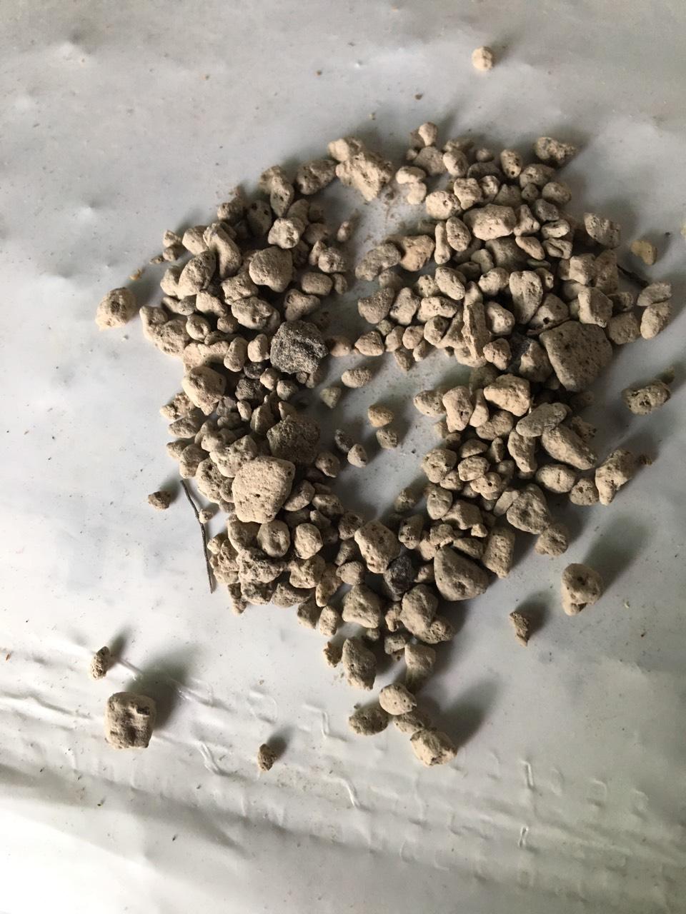 Đá núi lửa Pumice Indonesia cỡ 5 đến 8 mm  5 kg