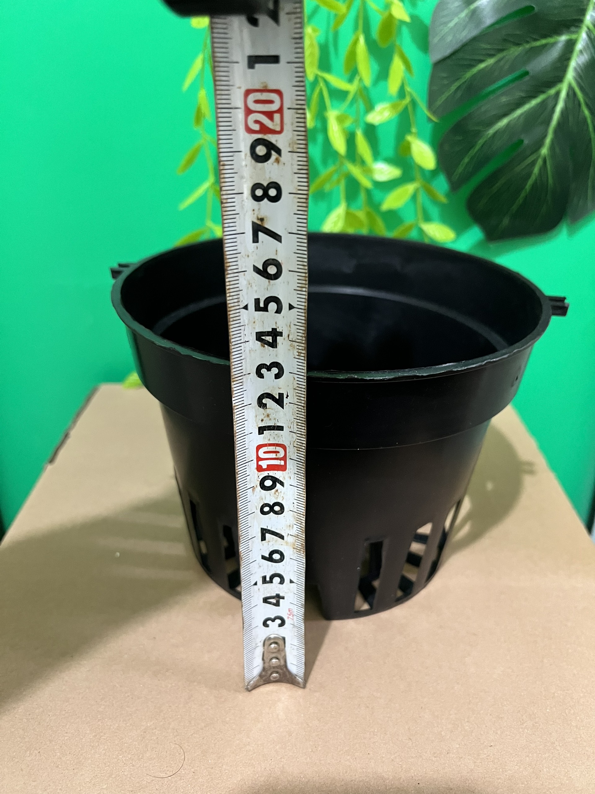 10 Black Plastic Pots for Growing F18 Orchids