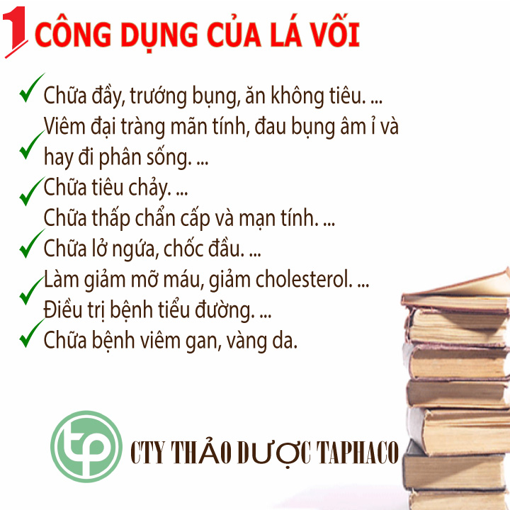 [Hàng loại 1 chất lượng cao] Lá Vối Sấy Khô 500g - Hàng sạch cao cấp
