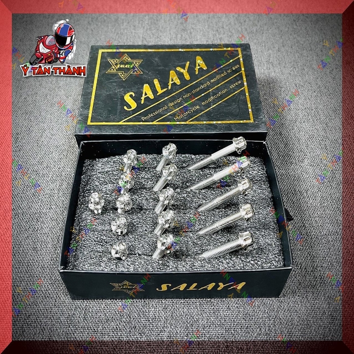 Bộ Ốc Lốc Máy Salaya wave,Dream 100 16 Con