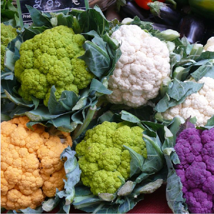 "Gói 20 "Hạt giống súp lơ mix màu ( bông cải mix ) [Seeds]