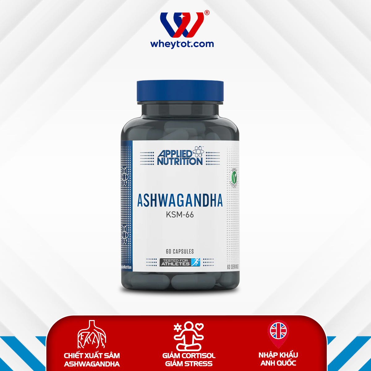 Applied Nutrition ASHWAGANDHA 60 Viên ( 60 Servings)