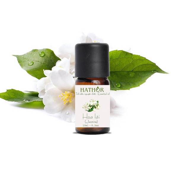 [HCM]Combo 4 chai tinh dầu cao cấp lavender lài tràm quế
